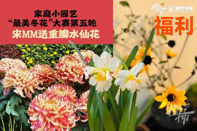 、霸王茶姬动物手机支架……橙柿超多福利送送送凯发k8国际娱乐首选时髦人都有的巴拉克拉法帽(图6)