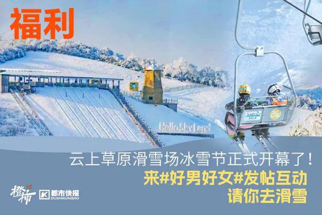 、霸王茶姬动物手机支架……橙柿超多福利送送送凯发k8国际娱乐首选时髦人都有的巴拉克拉法帽(图7)